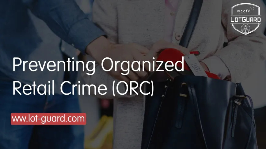 Preventing Organized Retail Crime | LotGuard